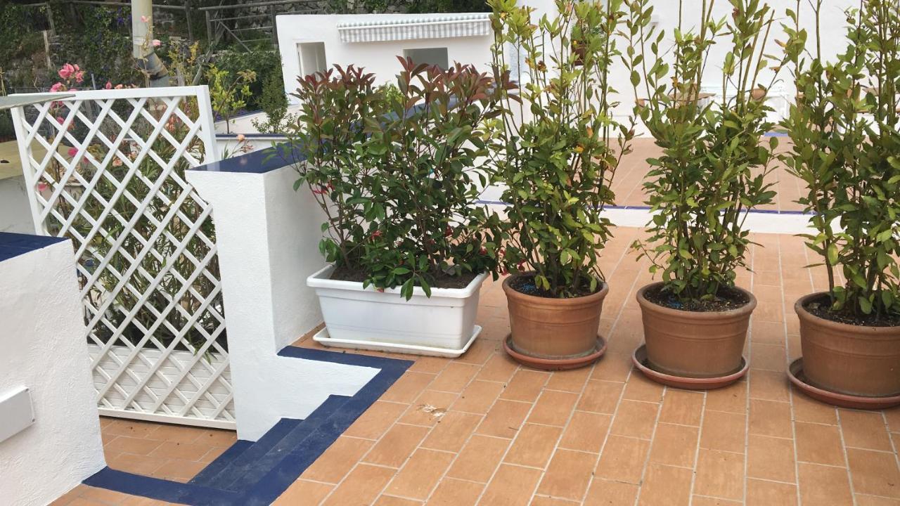 Panorama Da Cartolina Apartment Иския Екстериор снимка